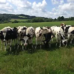 Forsthaus In * Katzwinkel (Vulkaneifel)