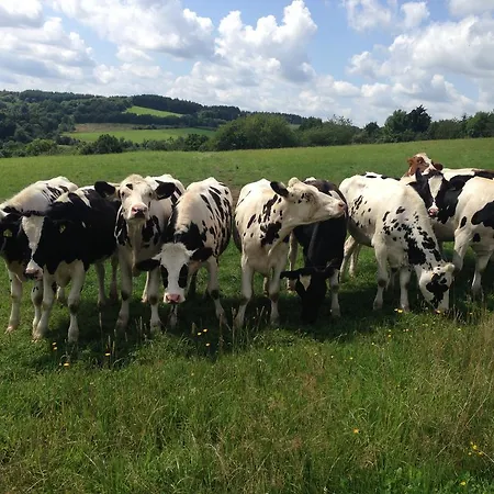 Forsthaus In * Katzwinkel (Vulkaneifel)