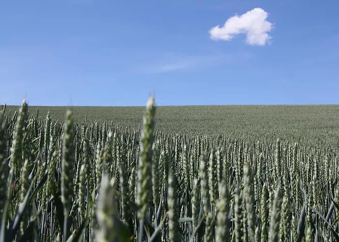 Forsthaus In * Katzwinkel (Vulkaneifel)
