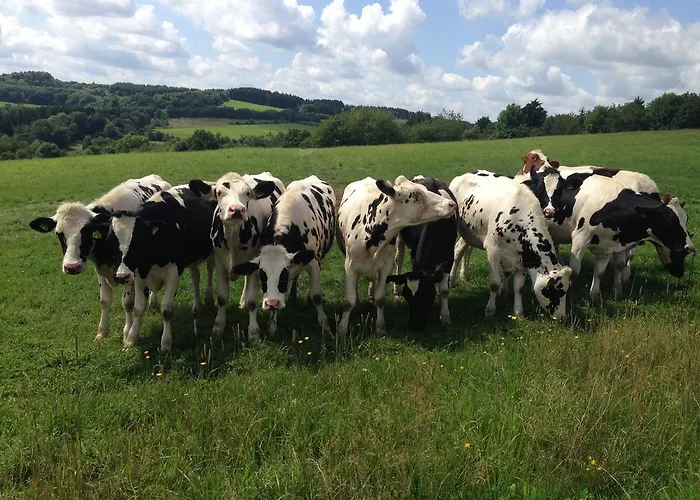 Forsthaus In * Katzwinkel (Vulkaneifel)